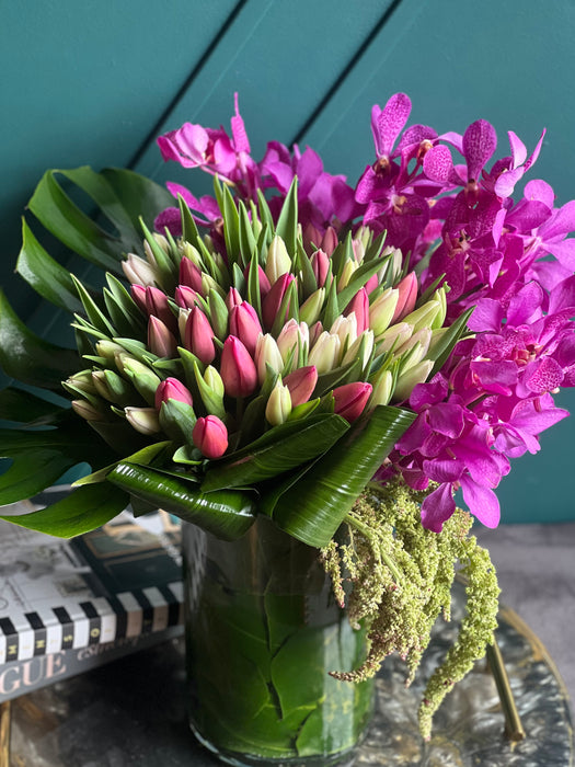 Tulips and Orchids