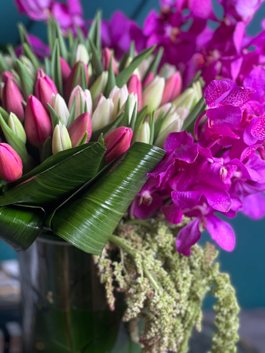 Tulips and Orchids