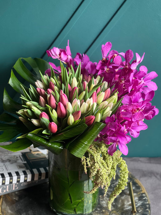 Tulips and Orchids