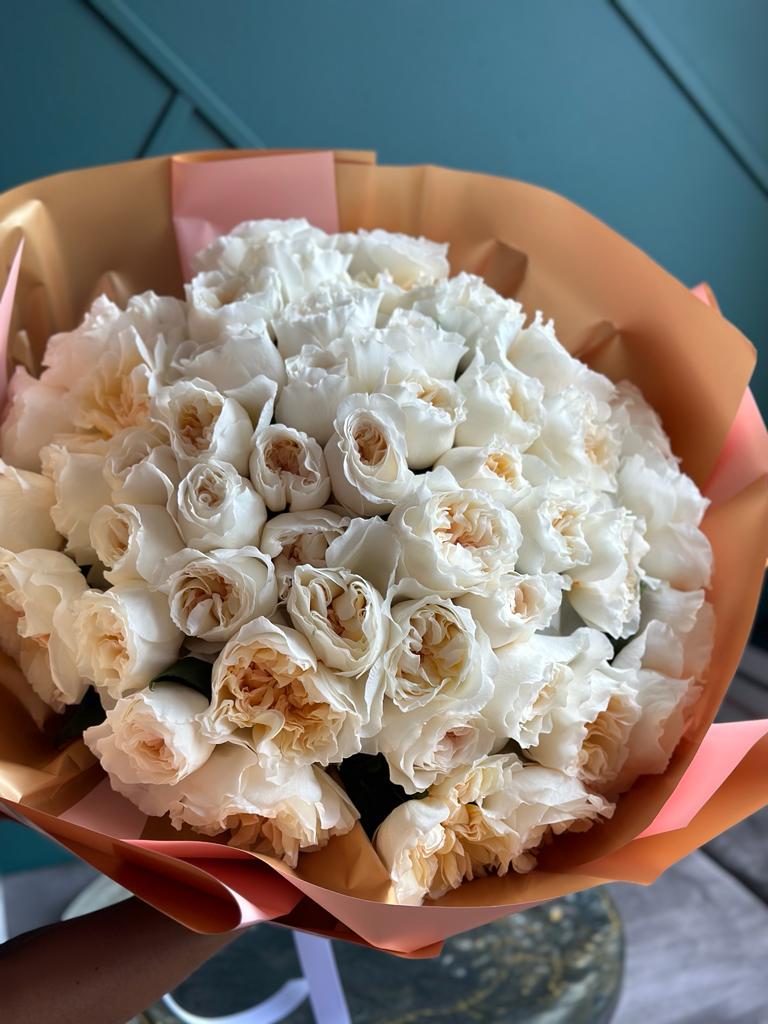 Garden Roses