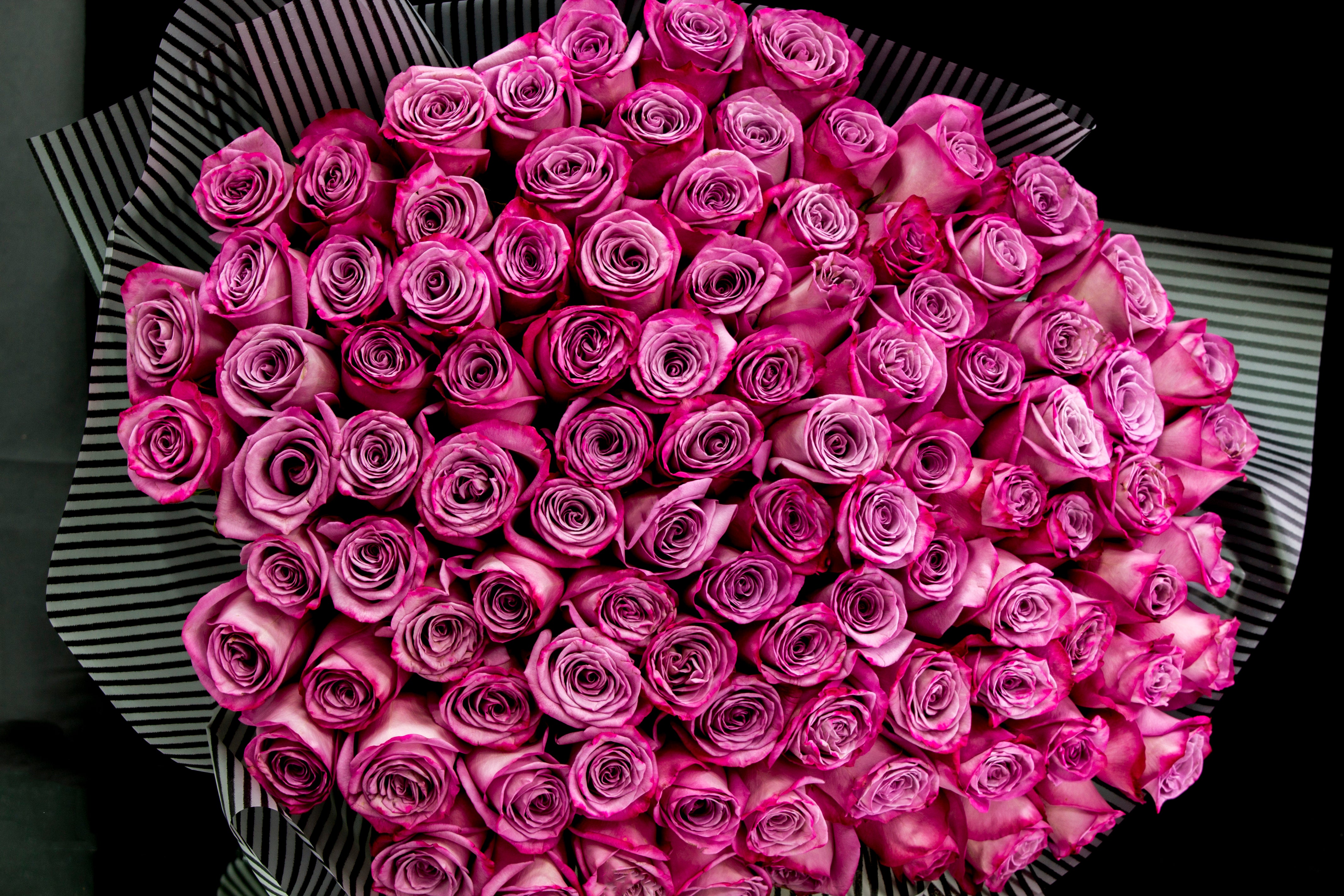 100 Deep Purple Roses Bouquet | Luxury Flowers Miami