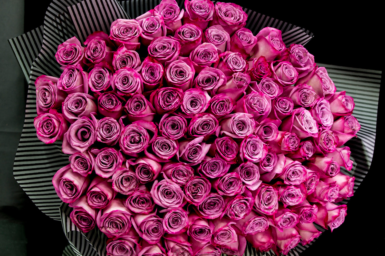 100 Deep Purple Roses Bouquet | Luxury Flowers Miami