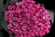 100 Deep Purple Roses Bouquet | Luxury Flowers Miami