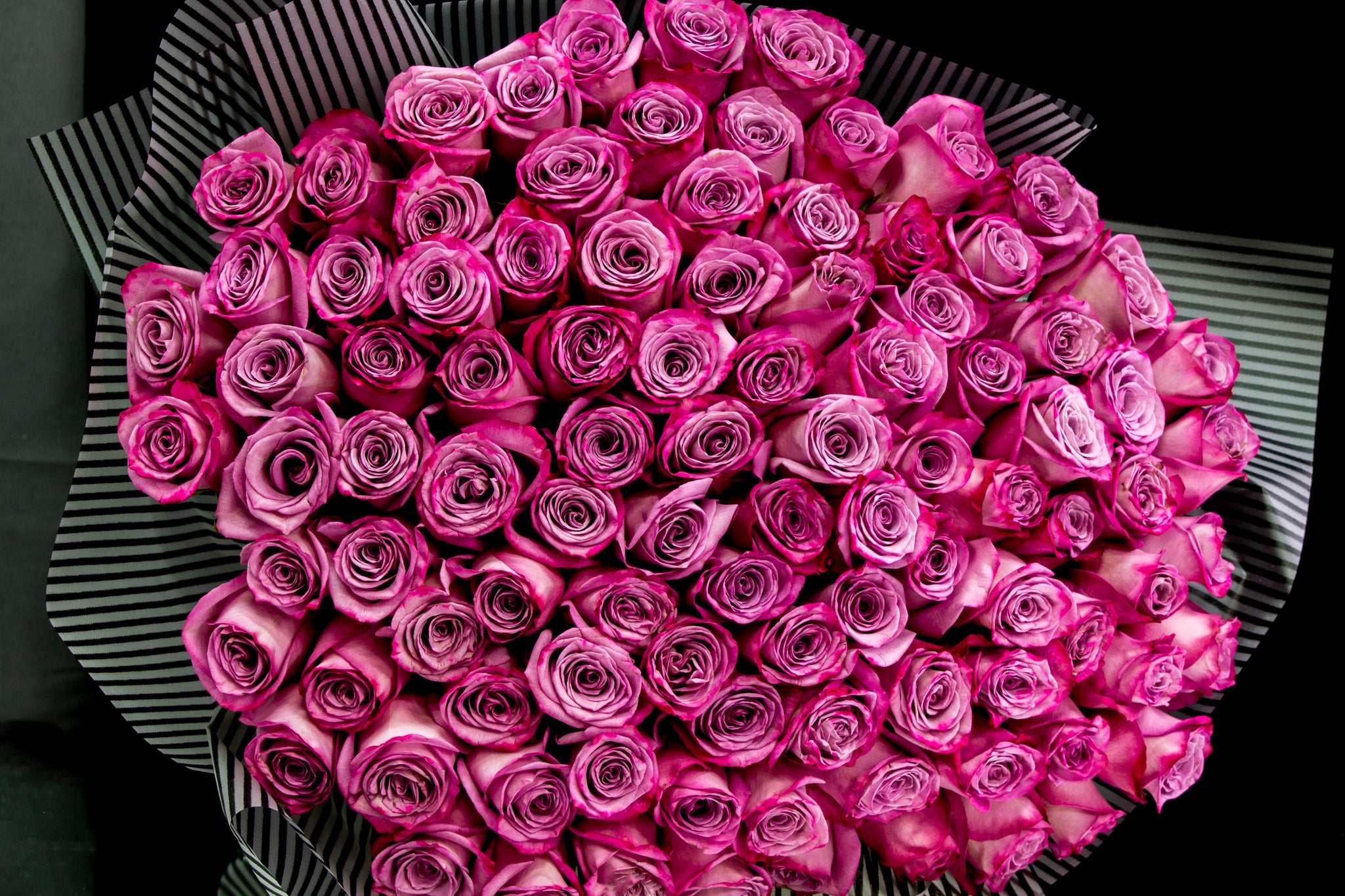 100 Deep Purple Roses Bouquet | Luxury Flowers Miami