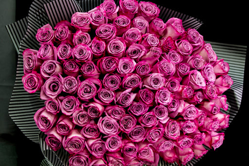 100 Deep Purple Roses Bouquet | Luxury Flowers Miami
