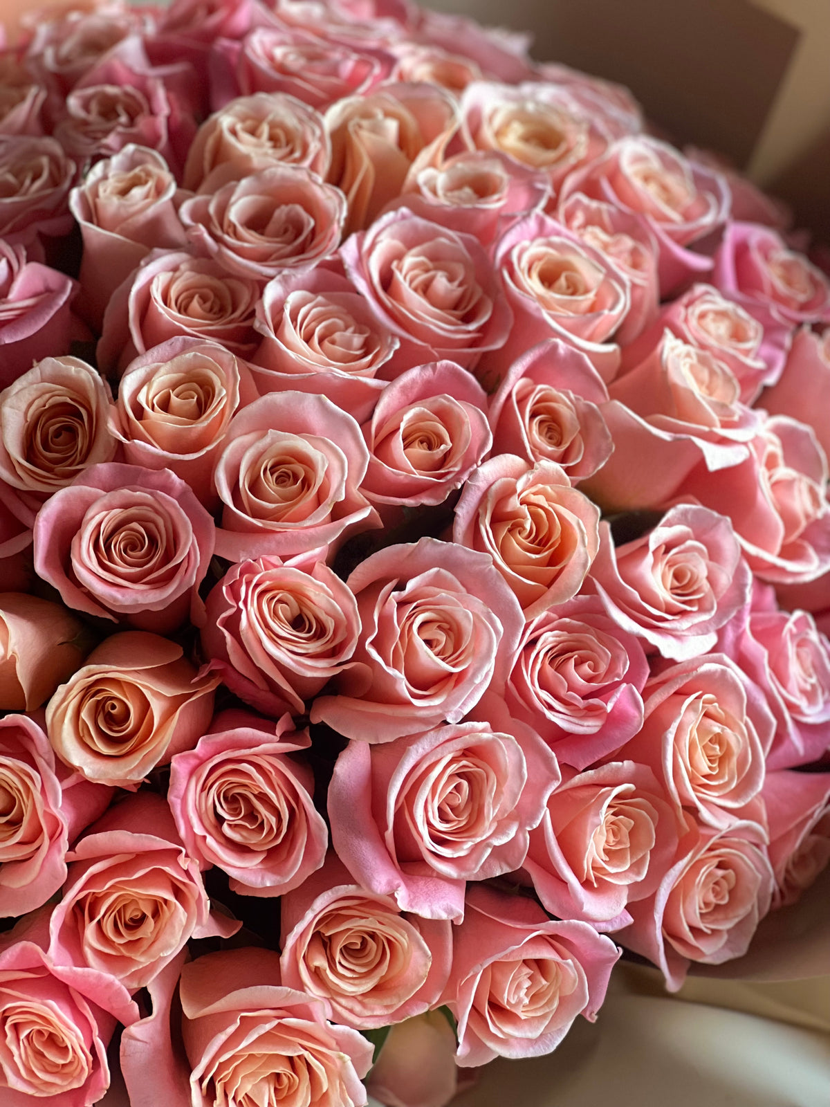 100 fresh pink roses luxury hand-tied bouquet
