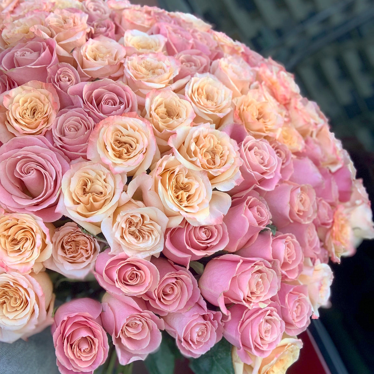 150 blush pink Hermosa and peach Shimmer roses bouquet