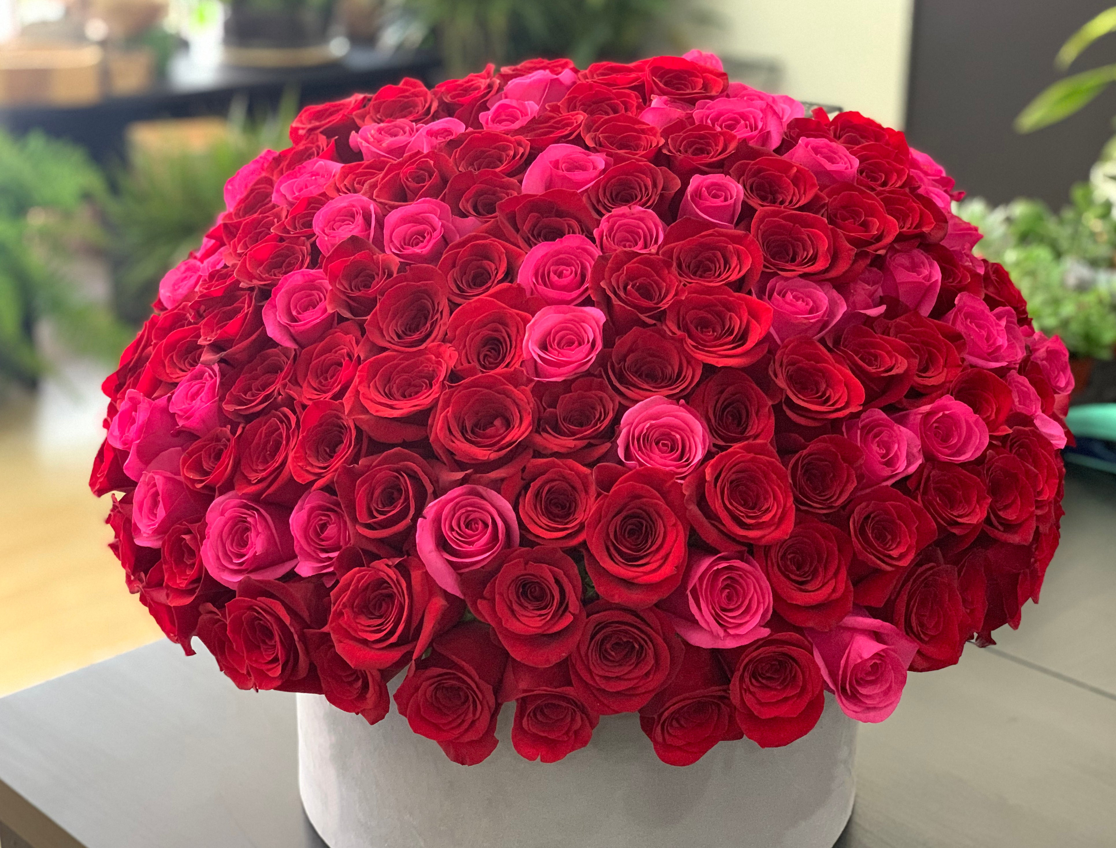 150 roses Miami luxury red and pink rose arrangement