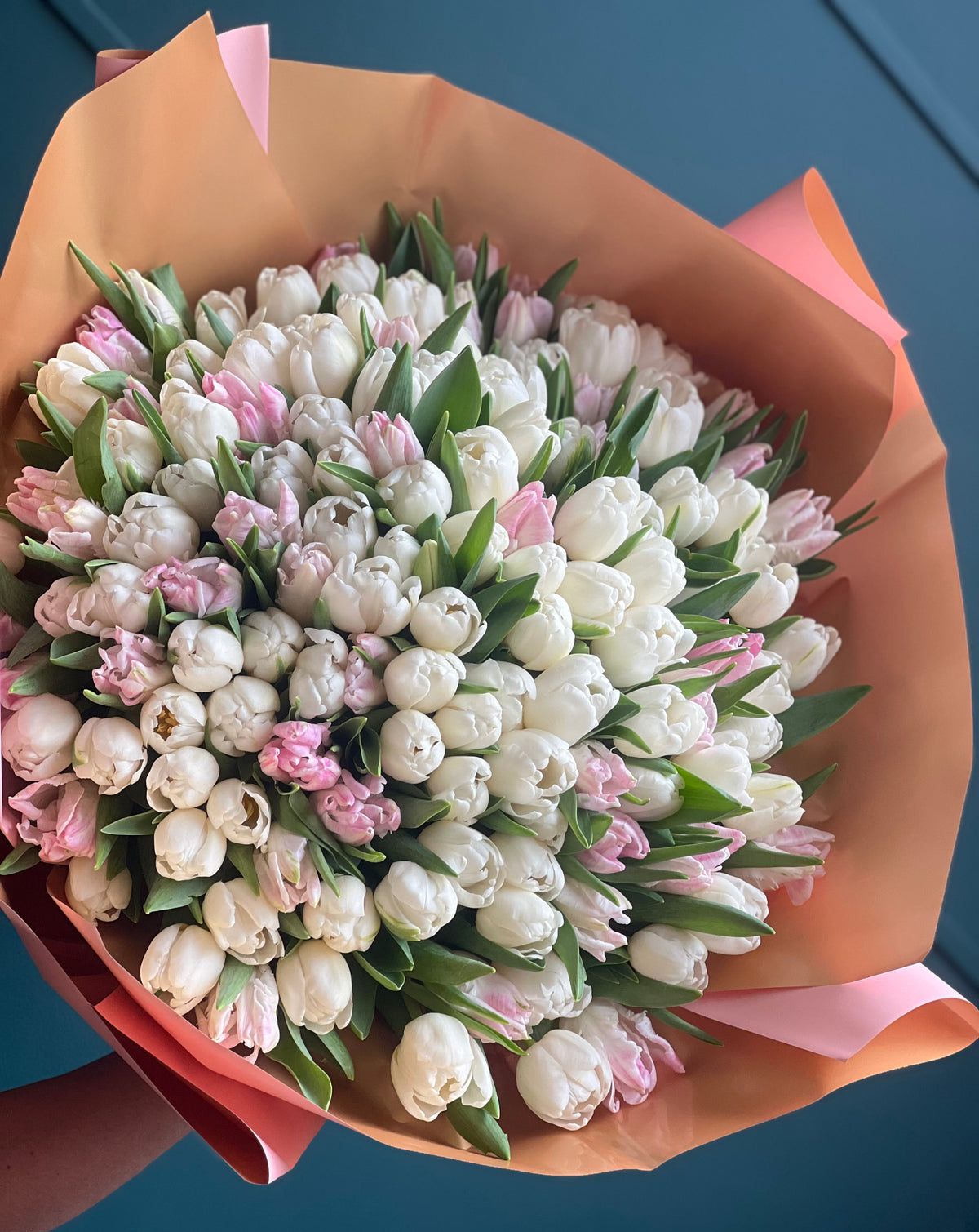 150 white and pink tulips bouquet handcrafted in Miami
