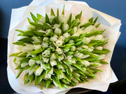 150 white tulips bouquet handcrafted in Miami