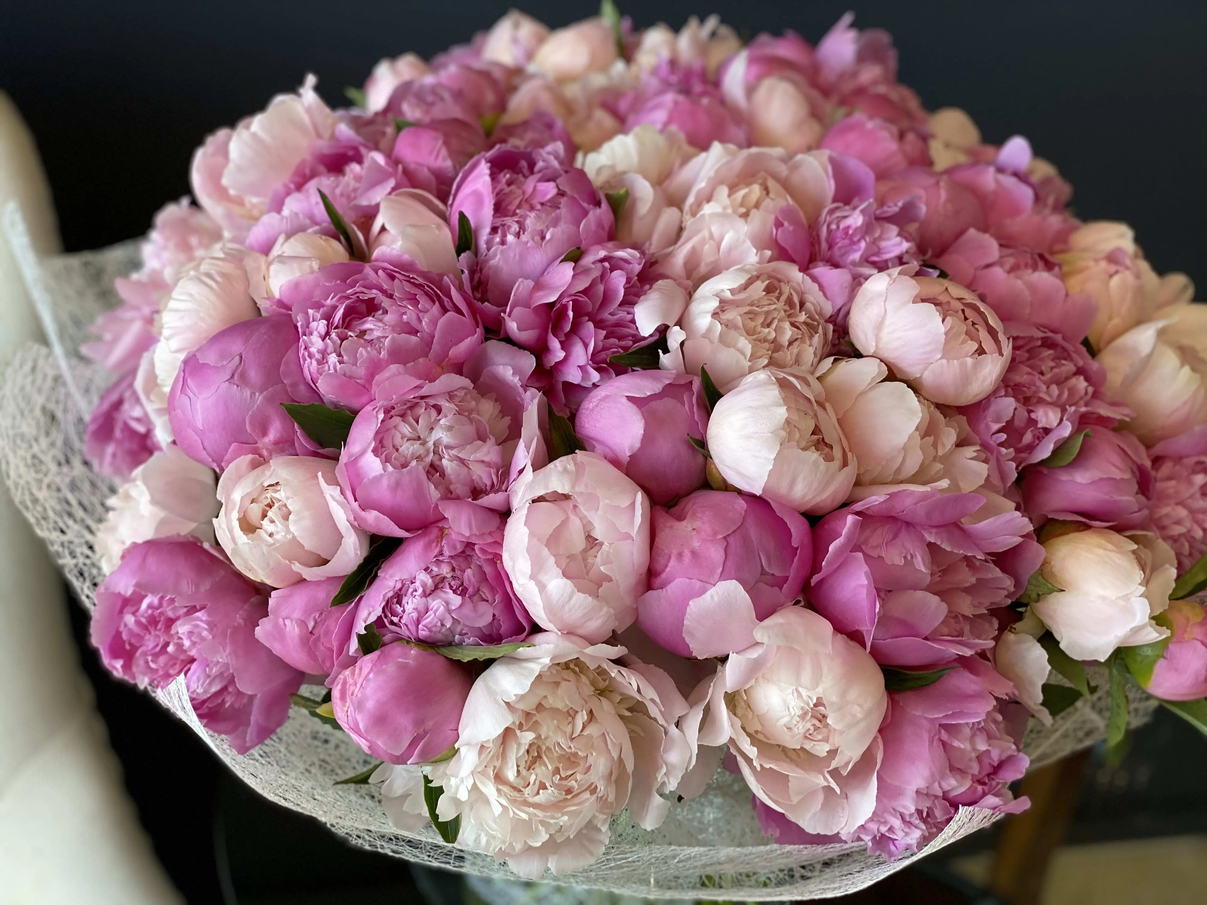 100 Peonies in Vase | Luxury Peony Arrangement buy online Luxury Flowers Miami