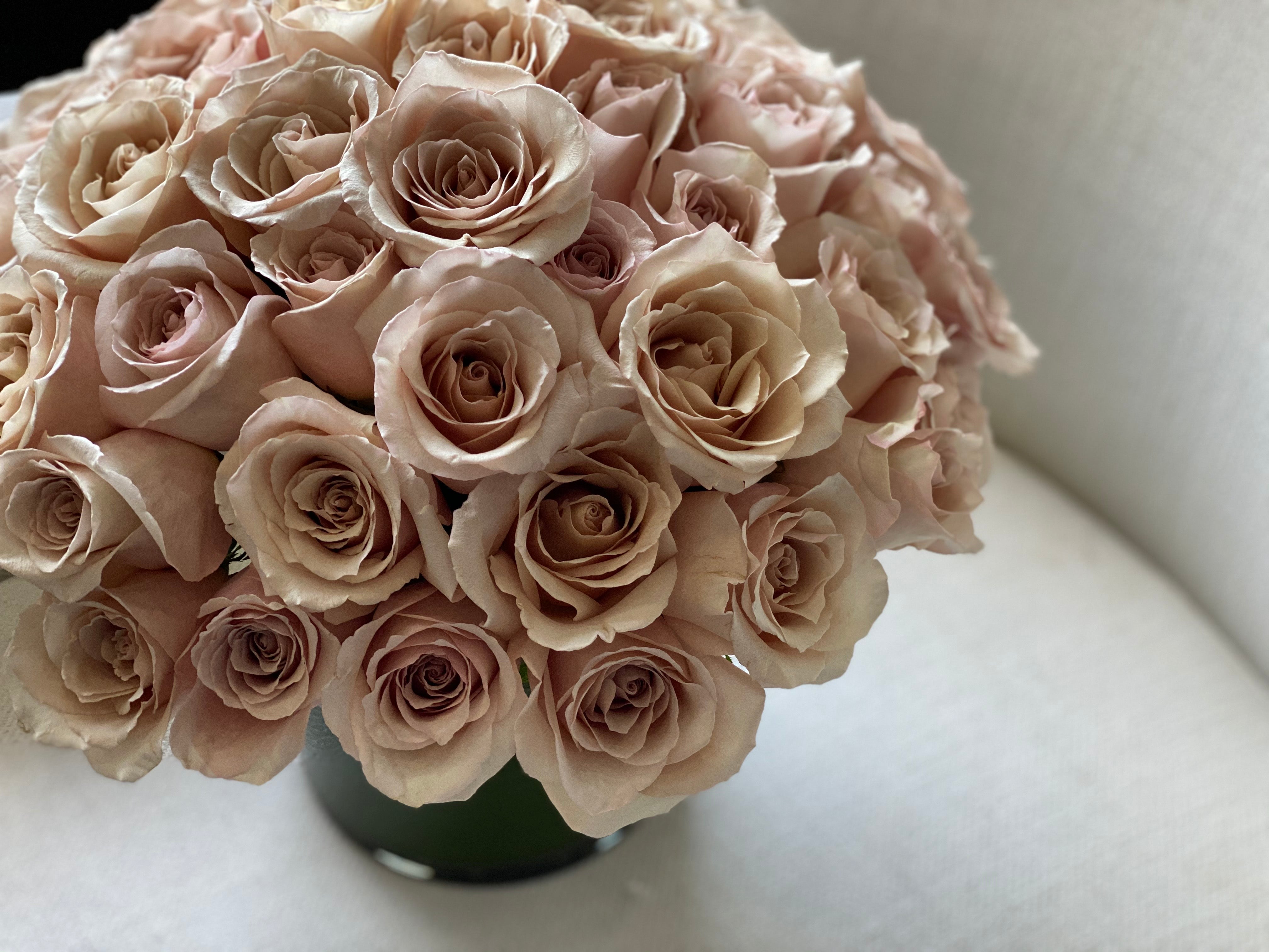 2 dozen cappuccino roses arranged in a vase for Miami flower delivery