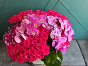 300 hot pink roses Miami arrangement with cascading Phalaenopsis orchids