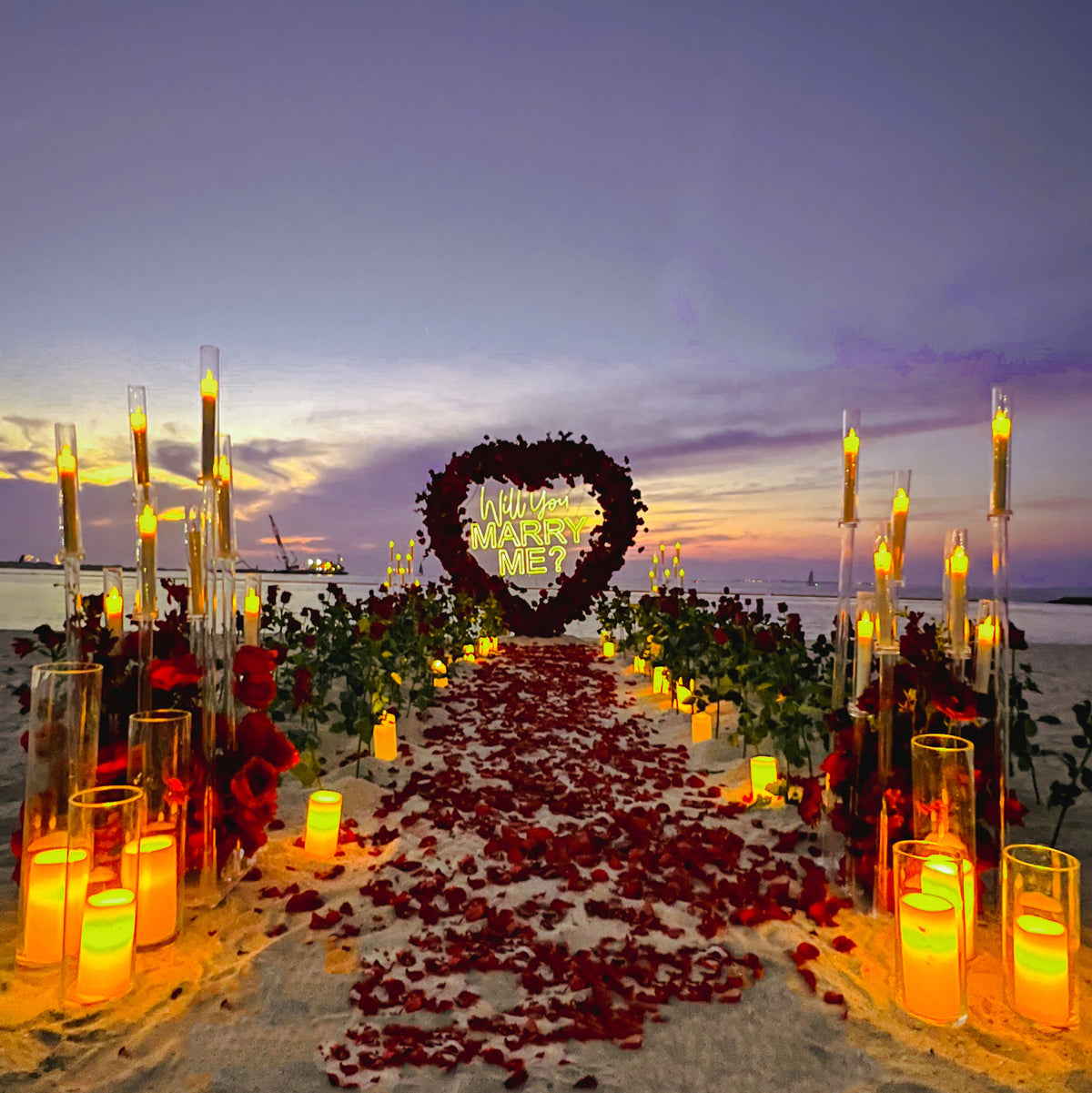 Luxury 1,000 roses proposal in Miami with floral installation and MARRY ME letters