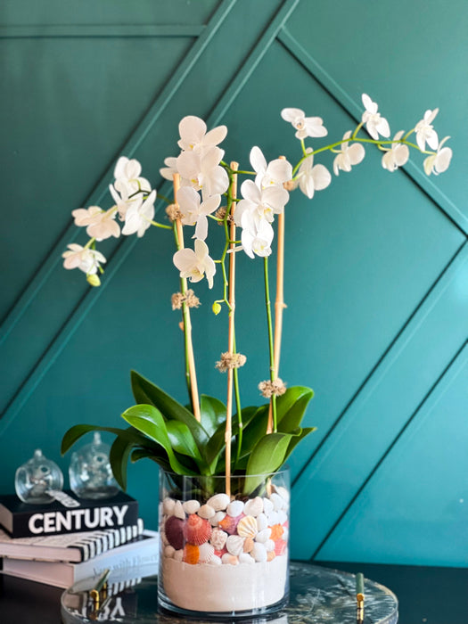 By The Sea | Orchids Design In Vase