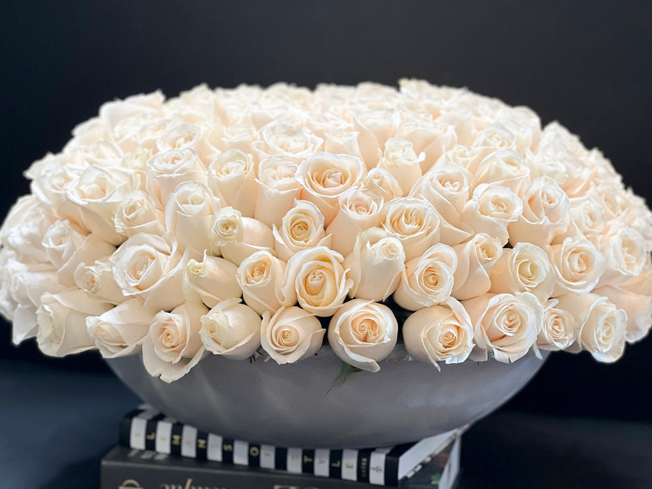 150 White  Roses In A Cement Bowl
