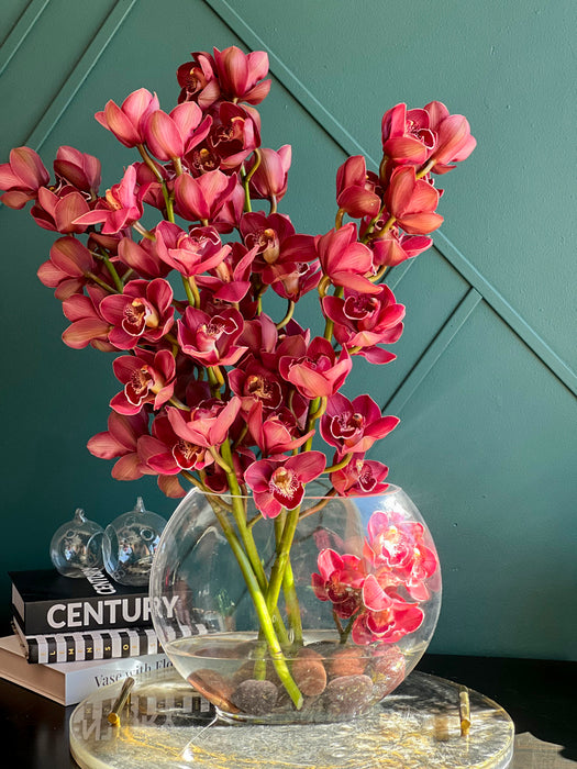 Orchids Love | Orchids Design In Modern Vase