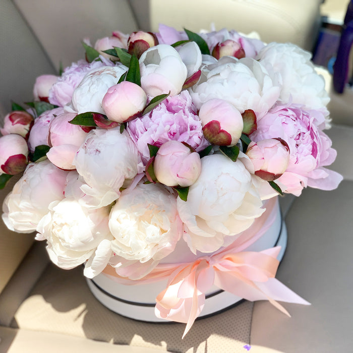 3 dozen Pink Peonies