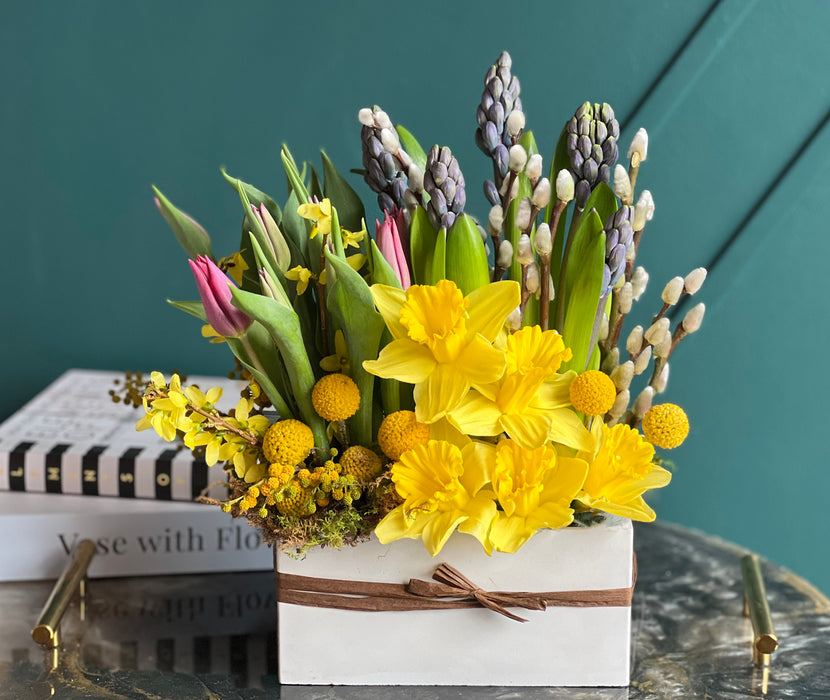 Spring Favorites – Cheerful Spring Flower Arrangement in White cement vase