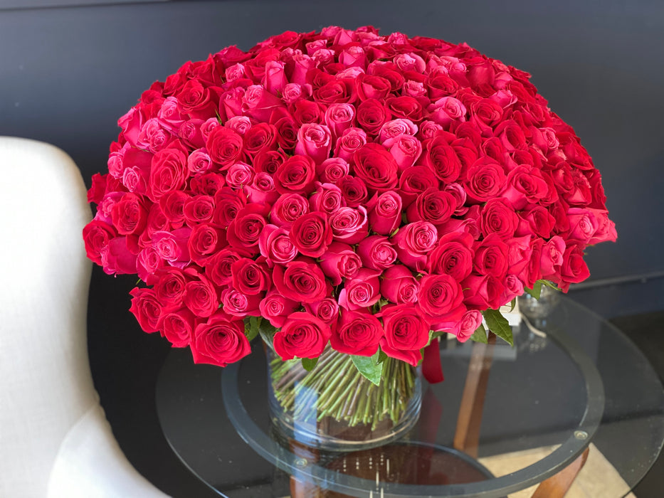 300 Hot Pink And Red Roses. Premium Roses in a vase