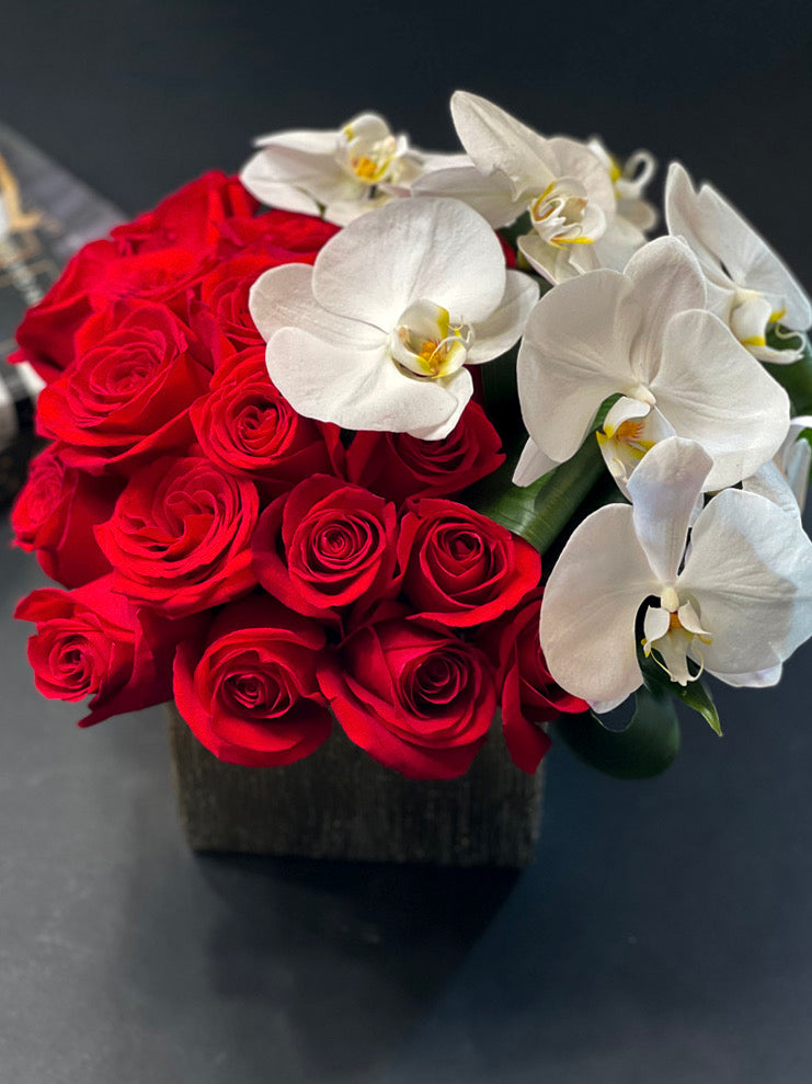 36 red roses and Phalaenopsis orchids Miami Beach