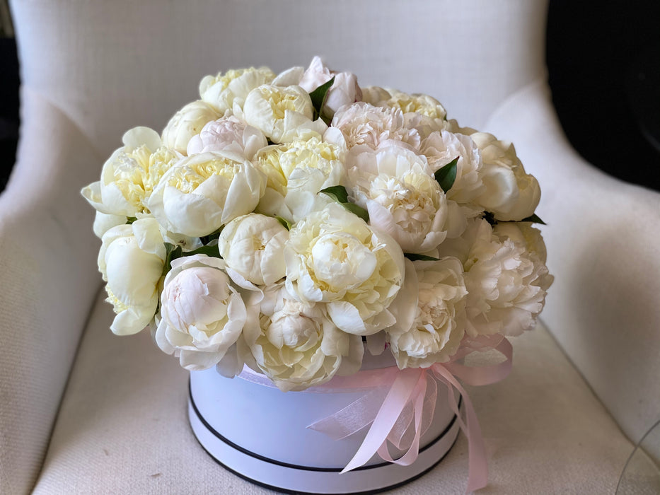 3 Dozen White Peonies