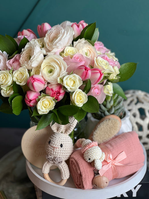 New Baby Girl Gift Set
