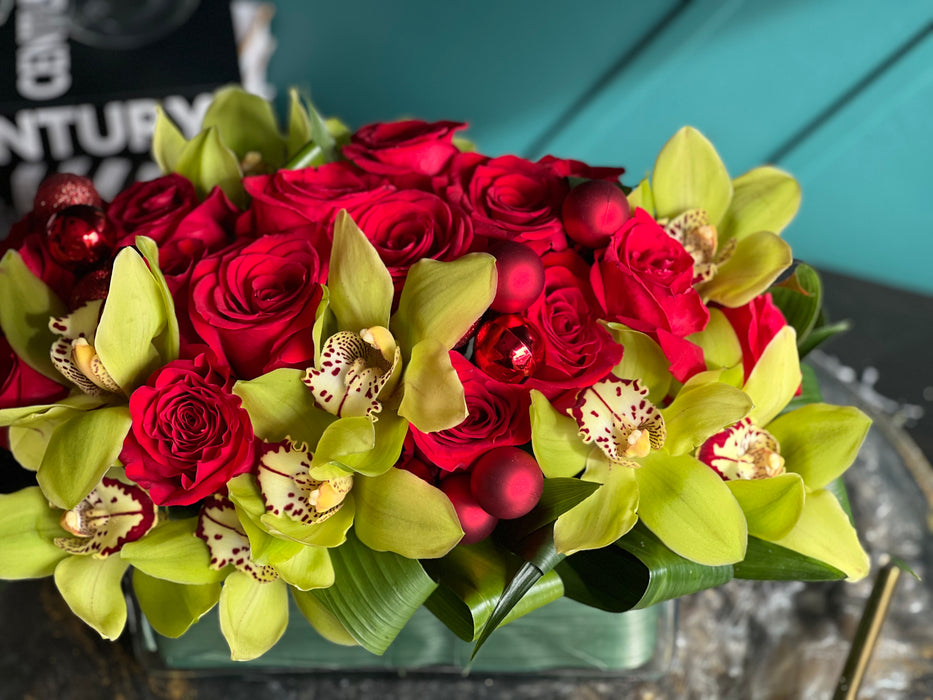 All I Want for Christmas