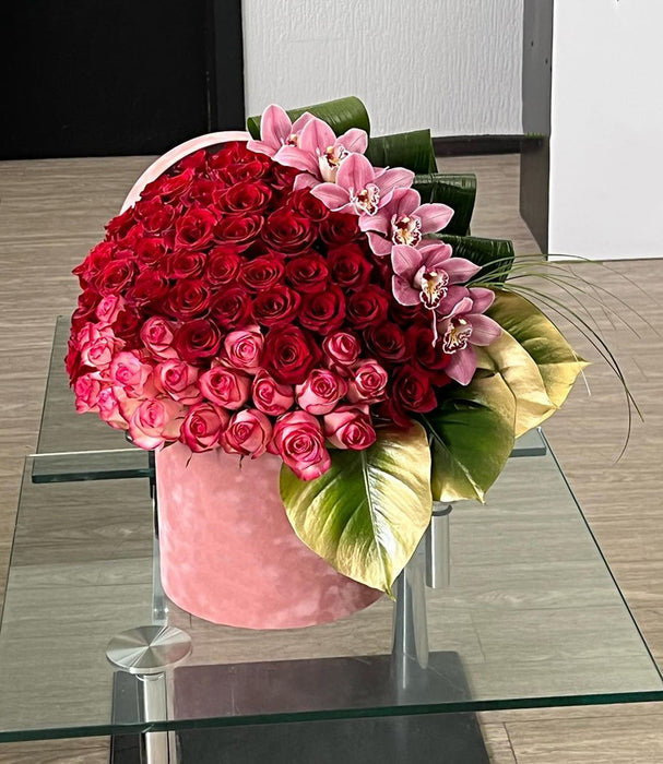 100 Roses Design in a box