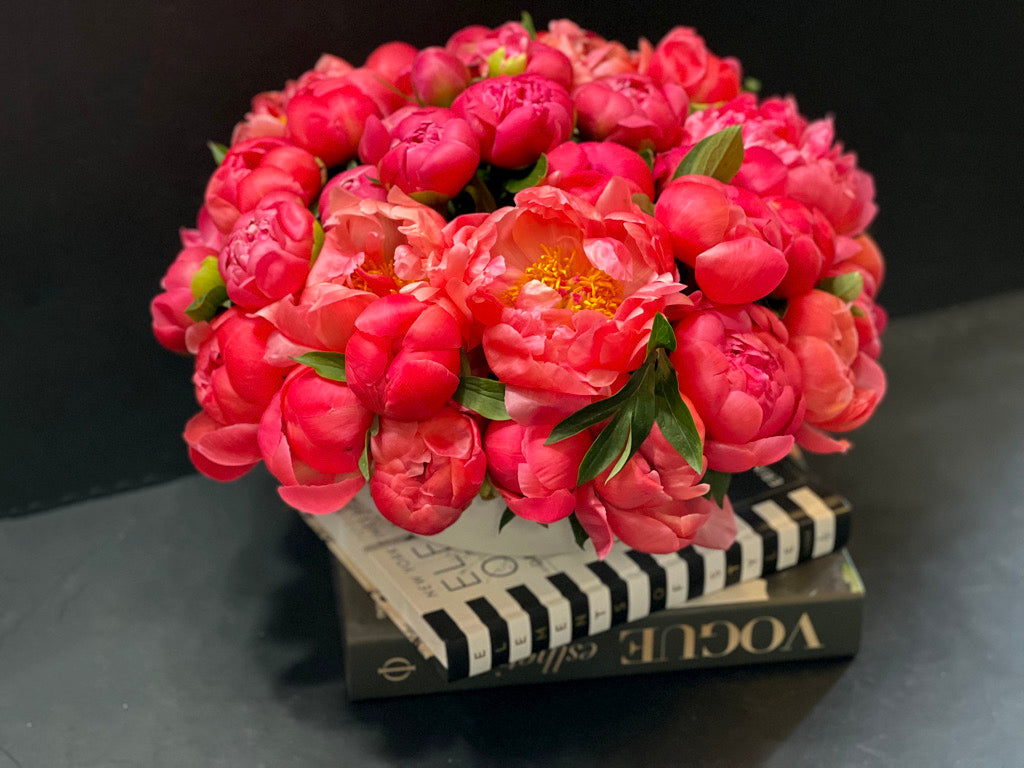 50 coral peonies in handmade cement vase