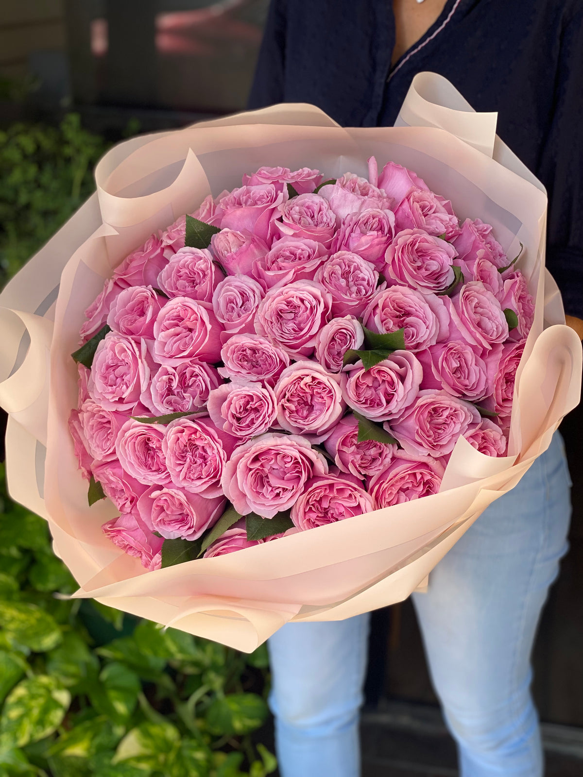50 lush pink garden roses with elegant wrapping
