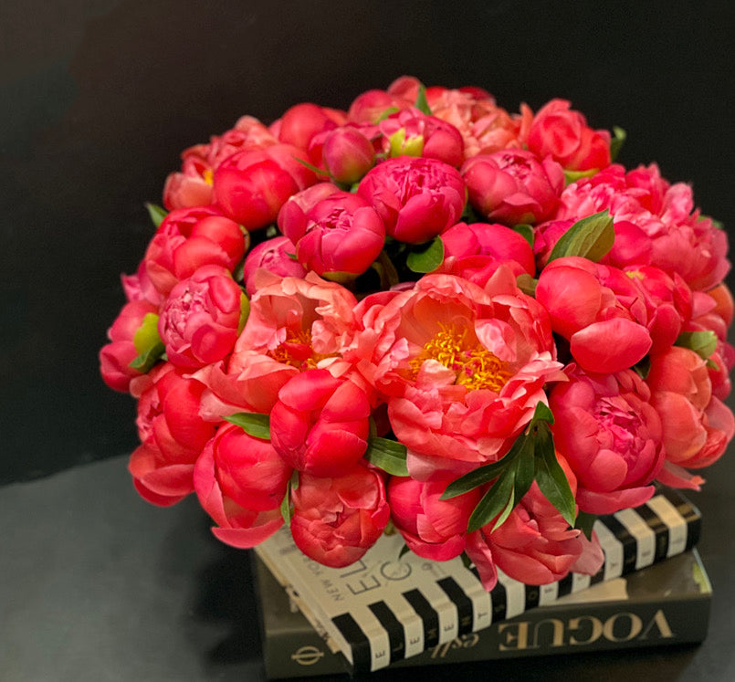 50 premium coral peonies Miami Beach