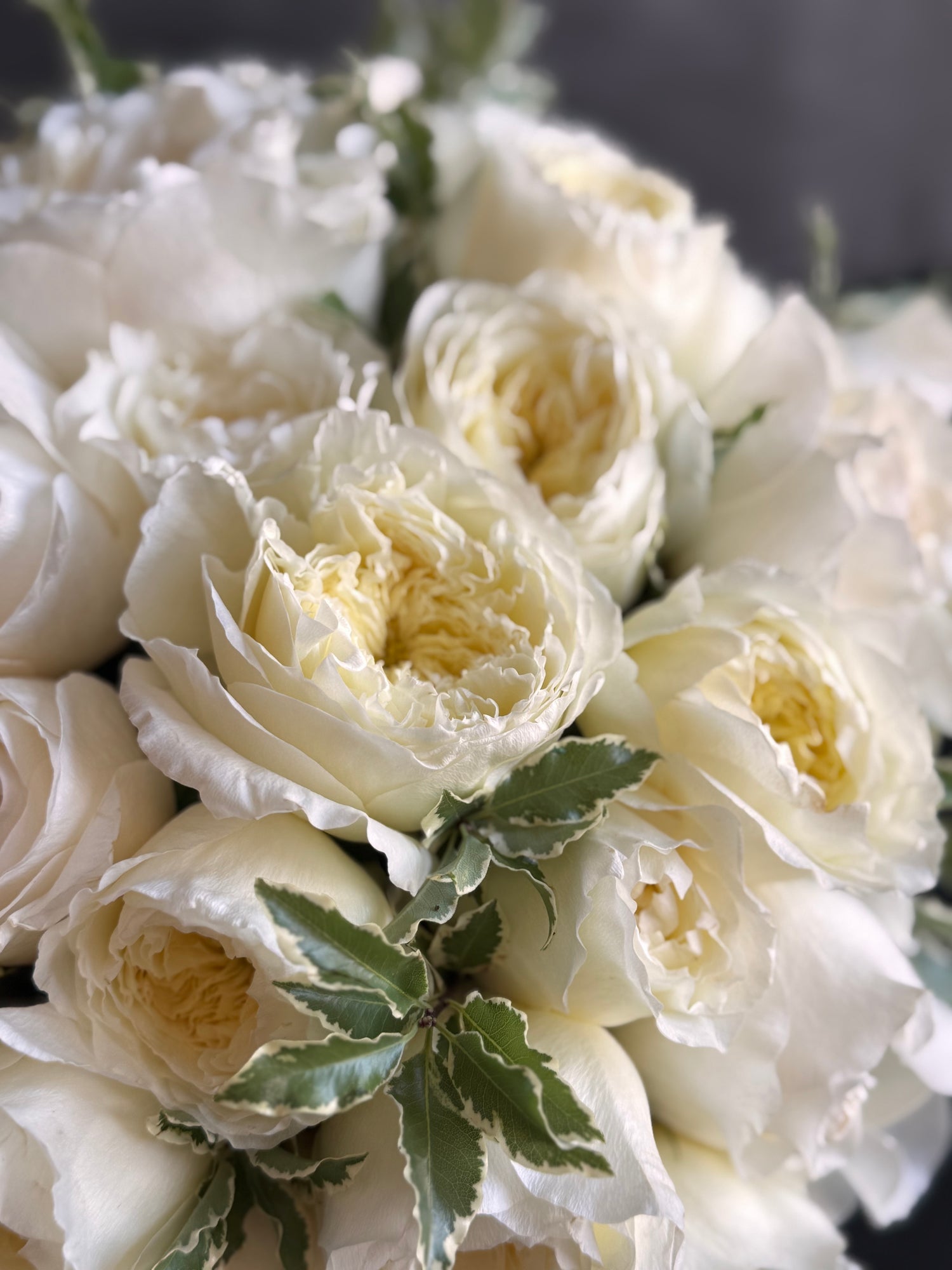 Beautiful garden roses arrangement in a low container for special occasions