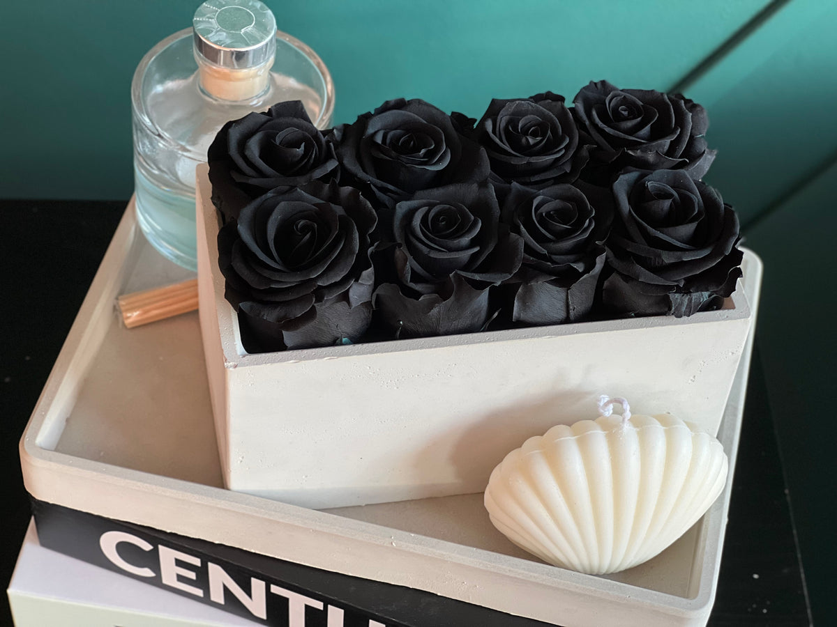 Black forever roses in handcrafted white cement container
