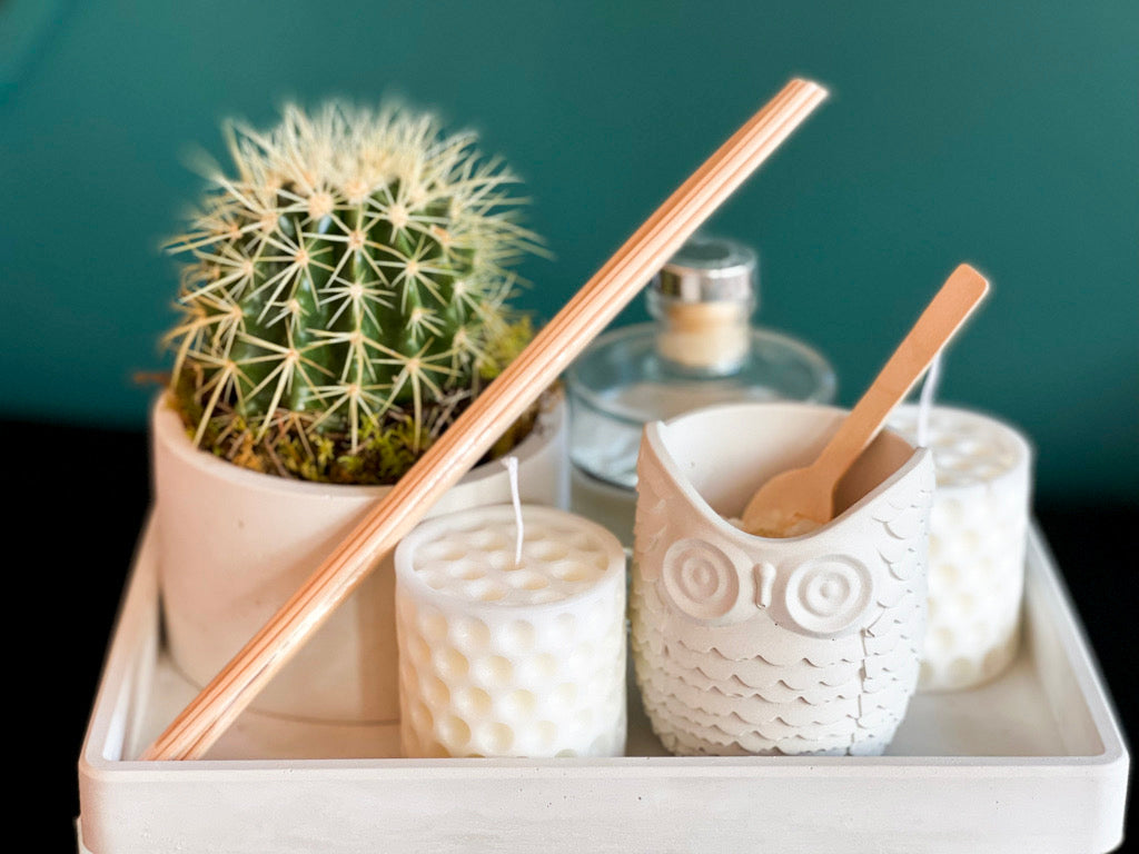 Cactus Garden Gift Set handcrafted by Luxury Flowers Miami
