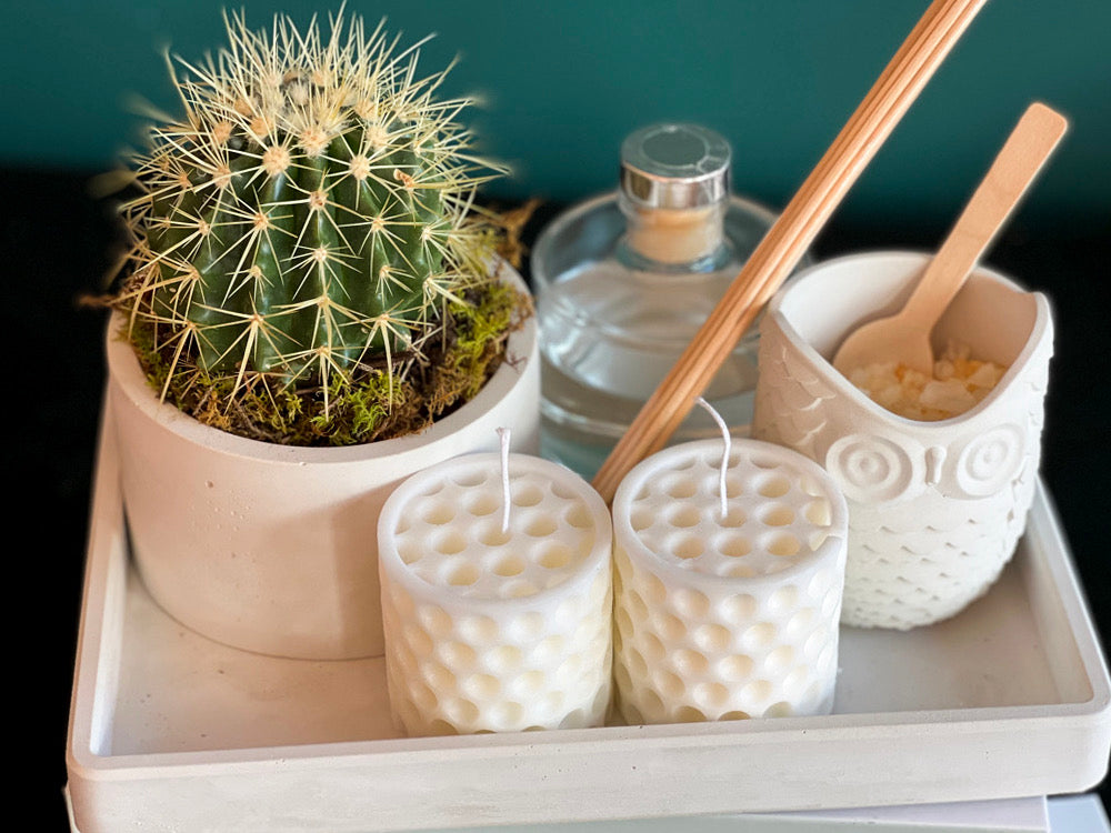 Cactus Garden Gift Set with candles bath salt and home fragrance