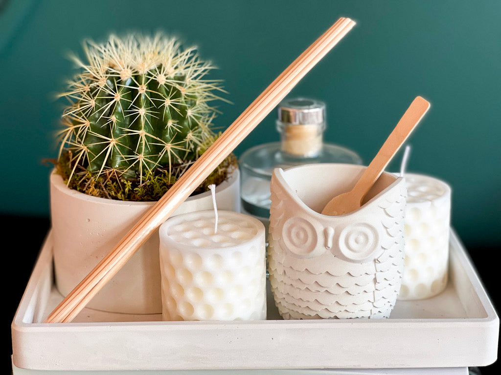 Cactus gift set with cement planter and home fragrance in Miami