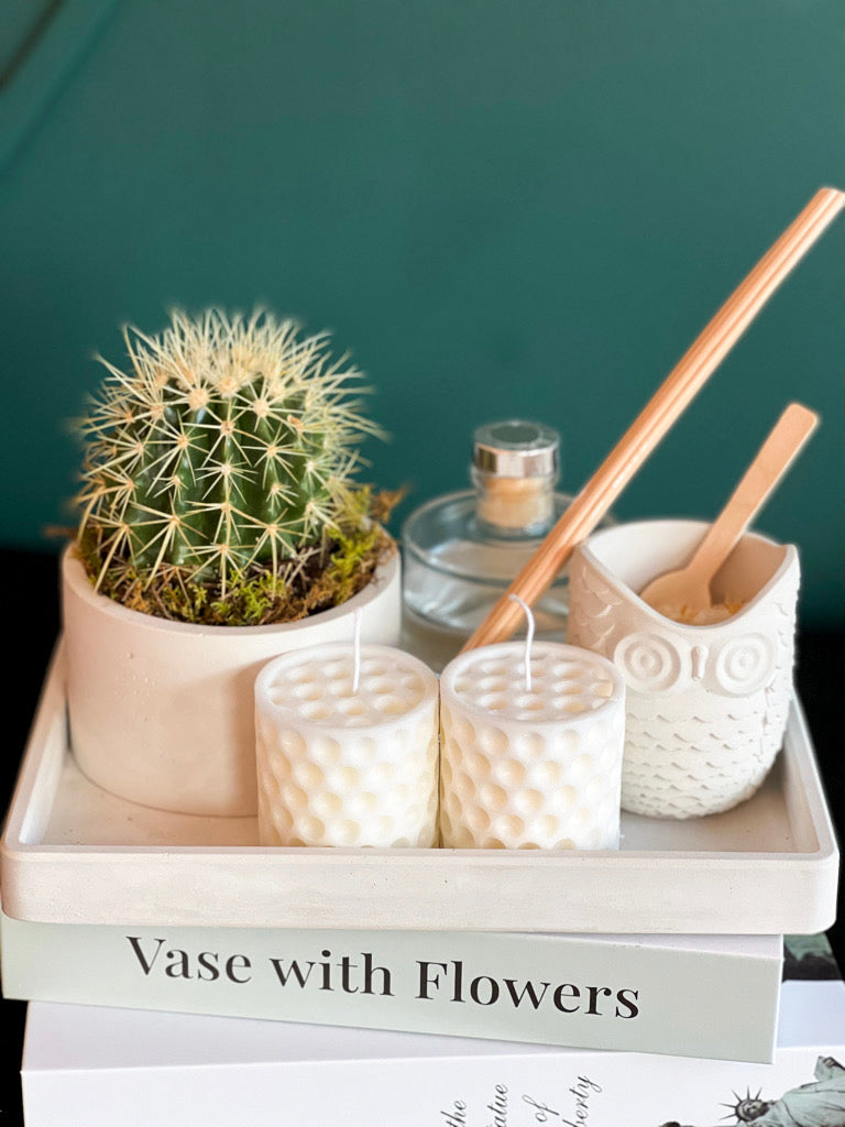 Cactus plant and self care gift set for Miami delivery