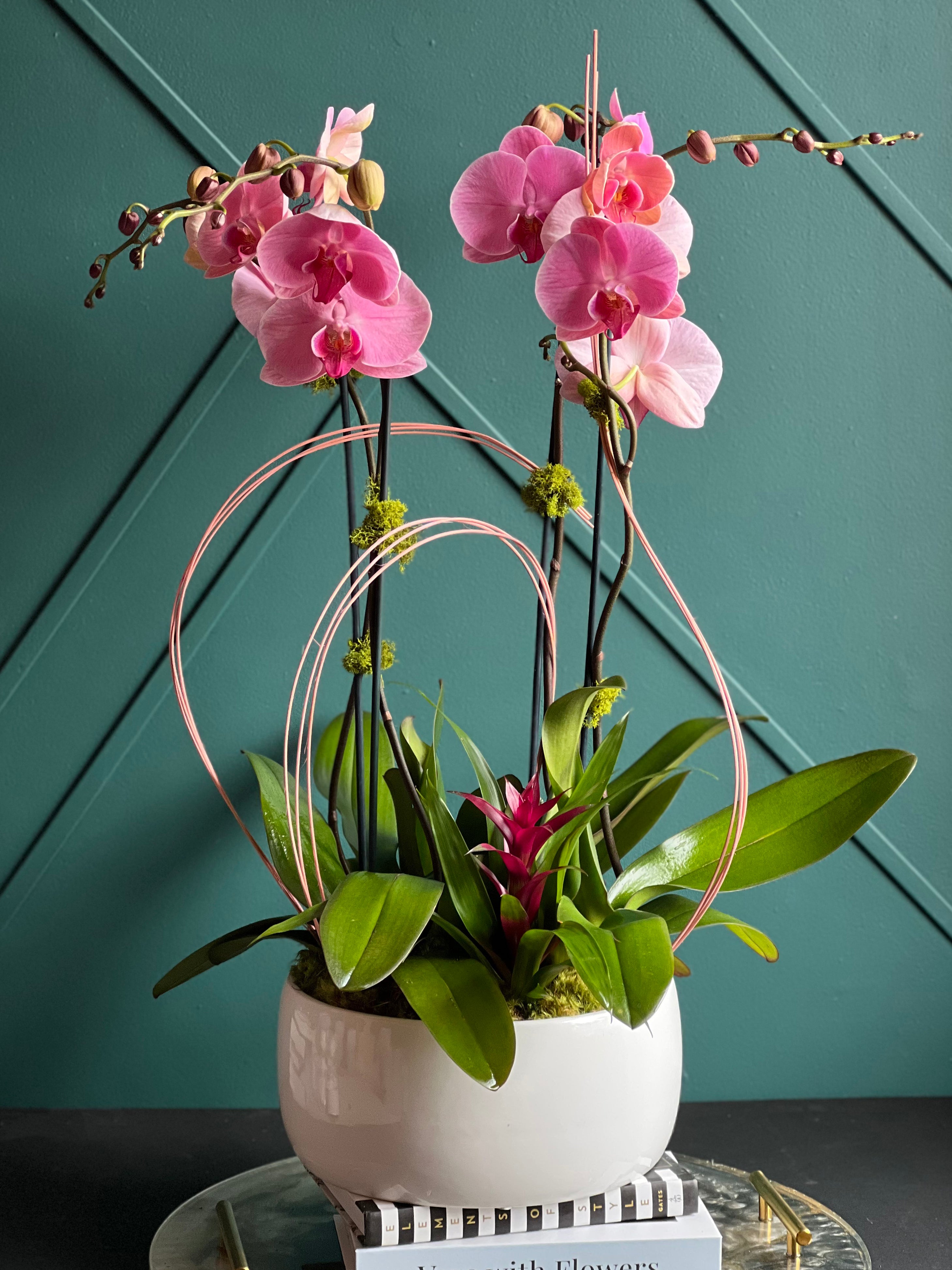 Contemporary live orchid centerpiece by Luxury Flowers Miami