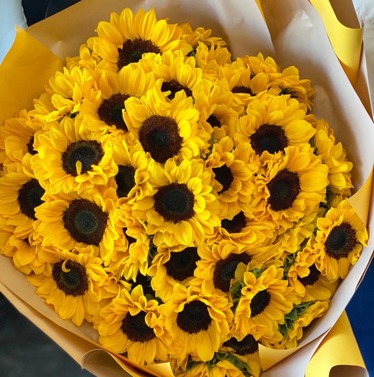 50 Sunflowers Bouquet in Miami | Luxury Flowers Miami