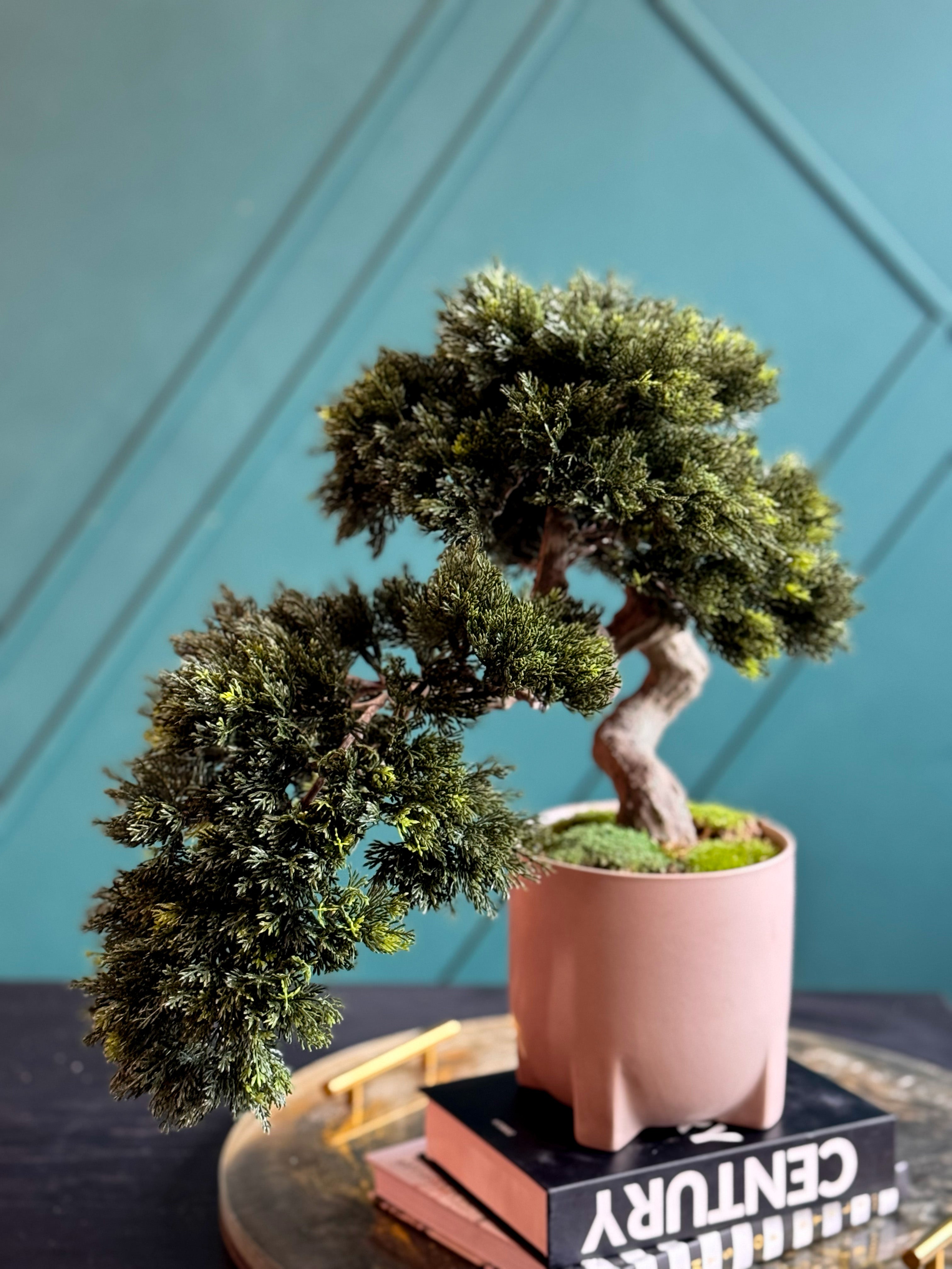 Decorative indoor faux bonsai tree with sculptural twisted trunk.