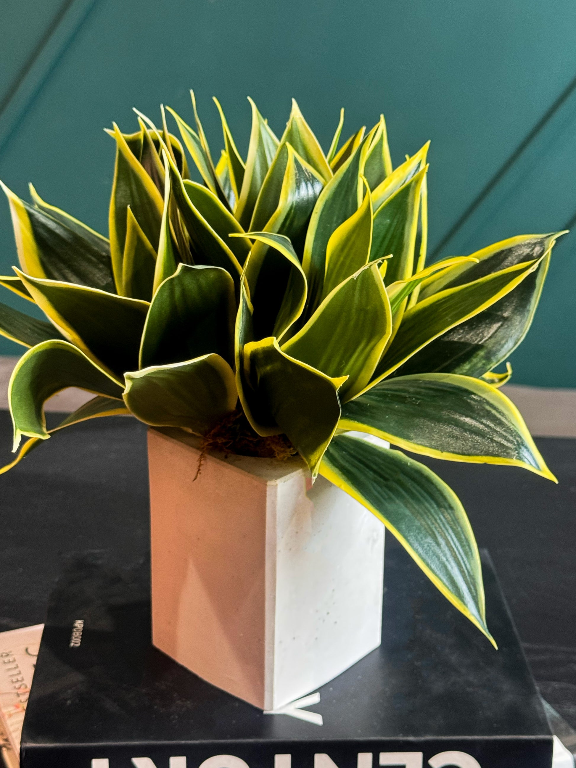 Decorative indoor snake plant with realistic foliage in a cement pot.