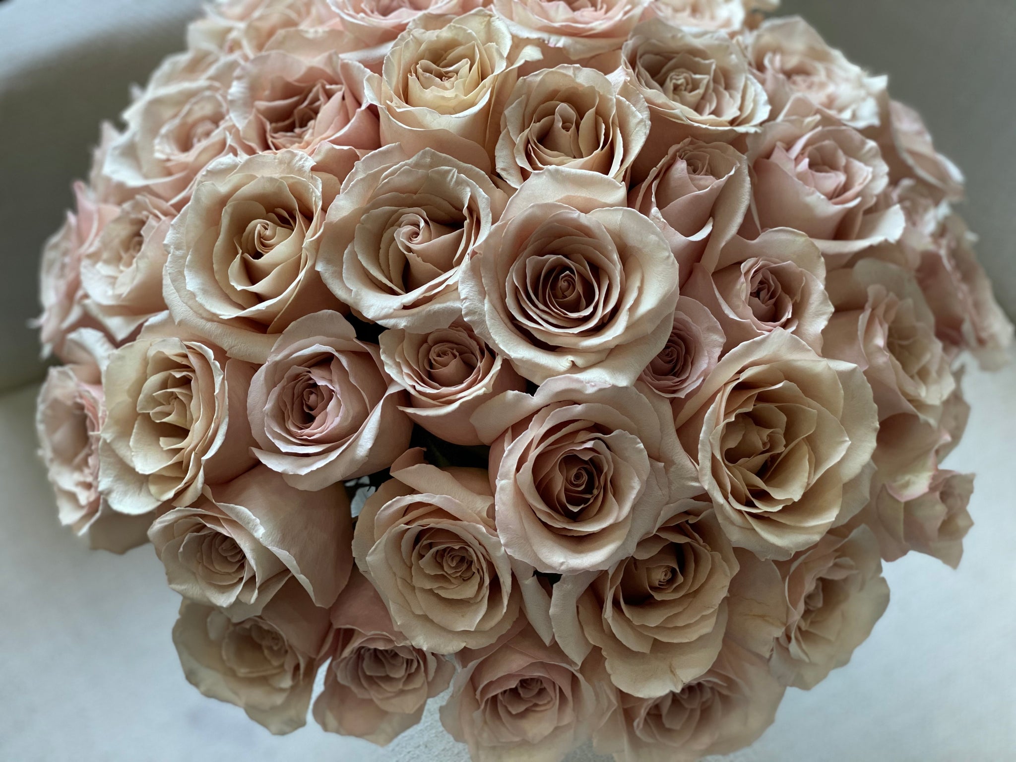 Elegant arrangement of 24 cappuccino roses in a vase by Luxury Flowers Miami