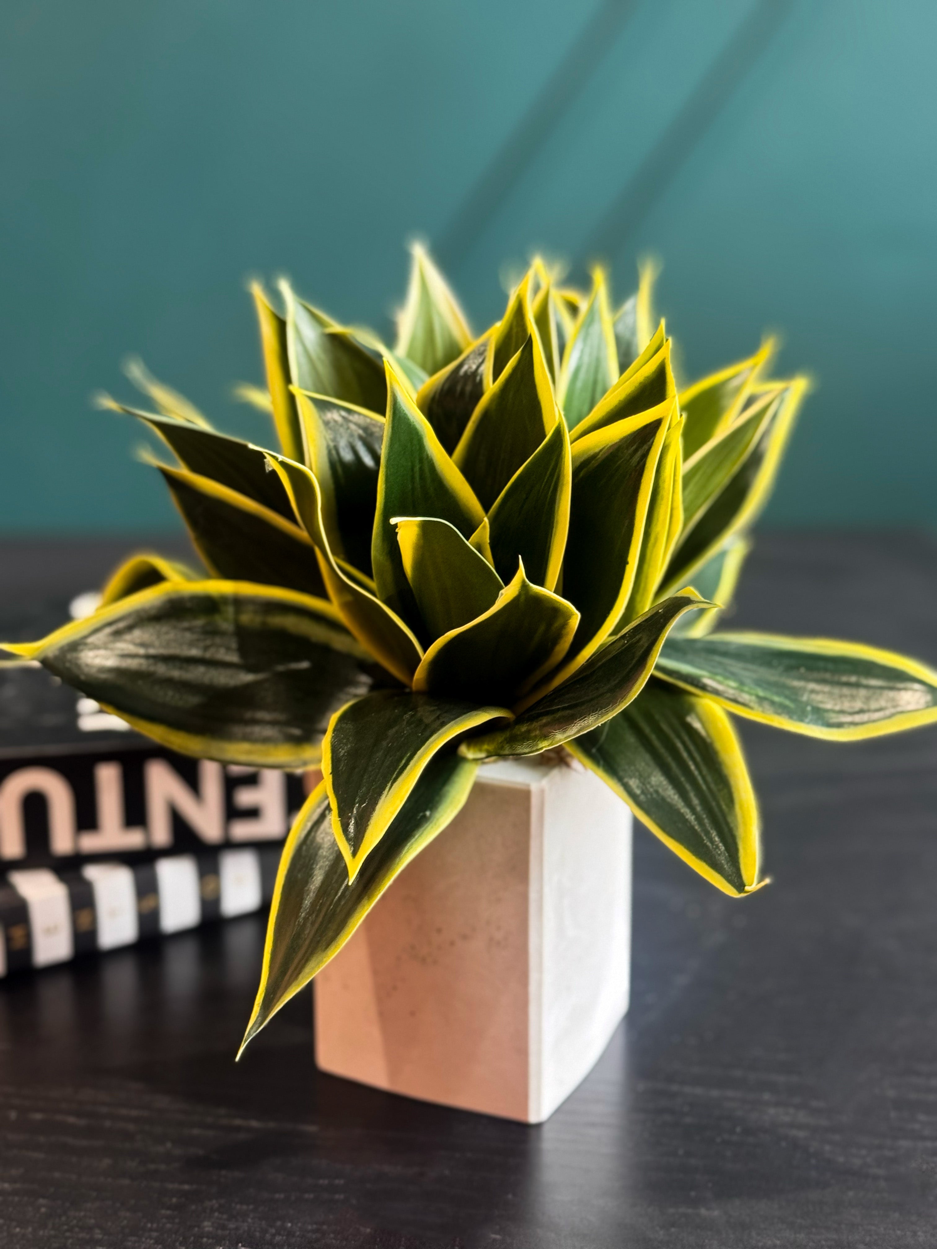 Elegant artificial Sansevieria in a neutral cement planter.
