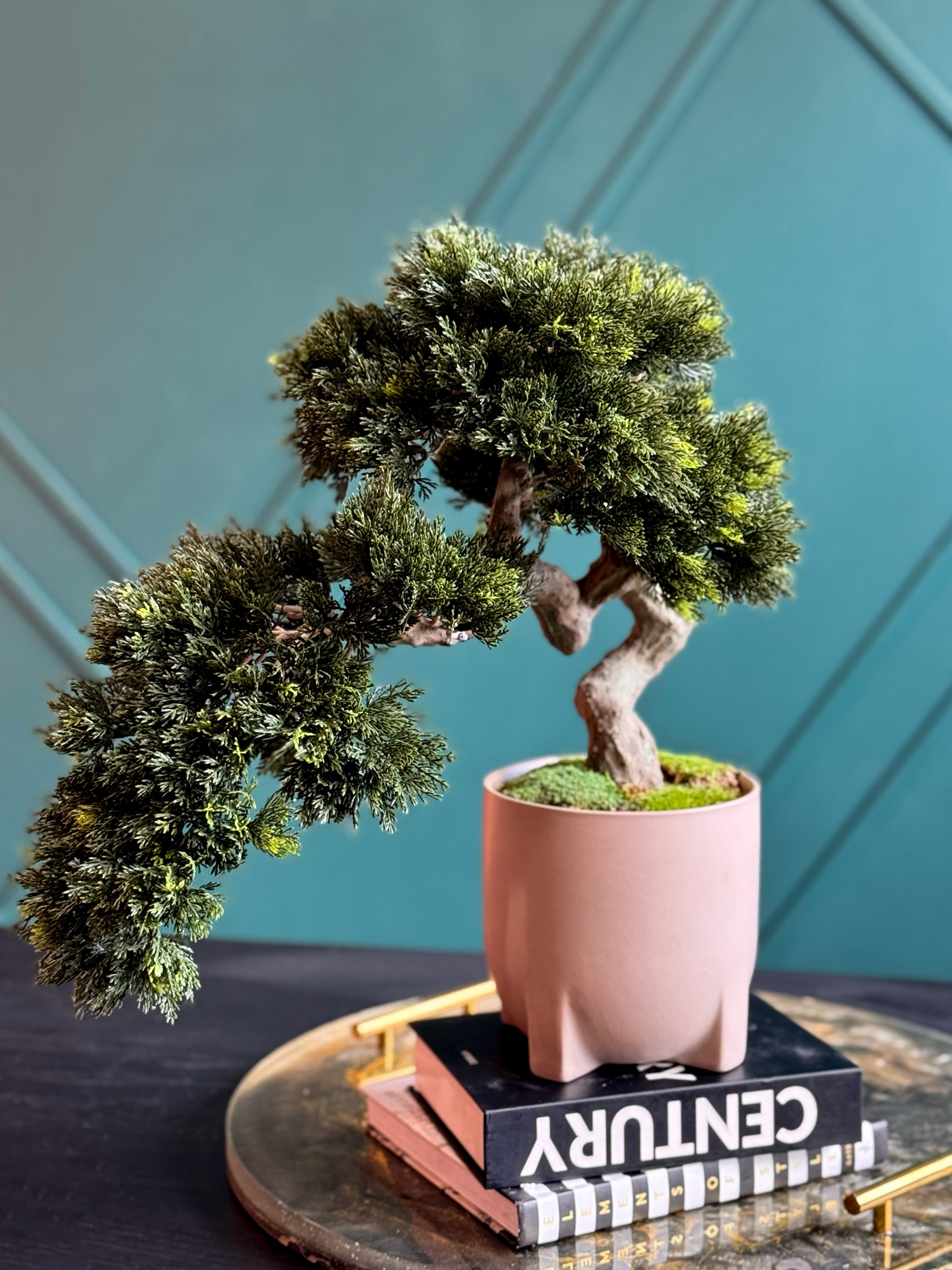 Elegant faux bonsai tree displayed in a contemporary pink planter.
