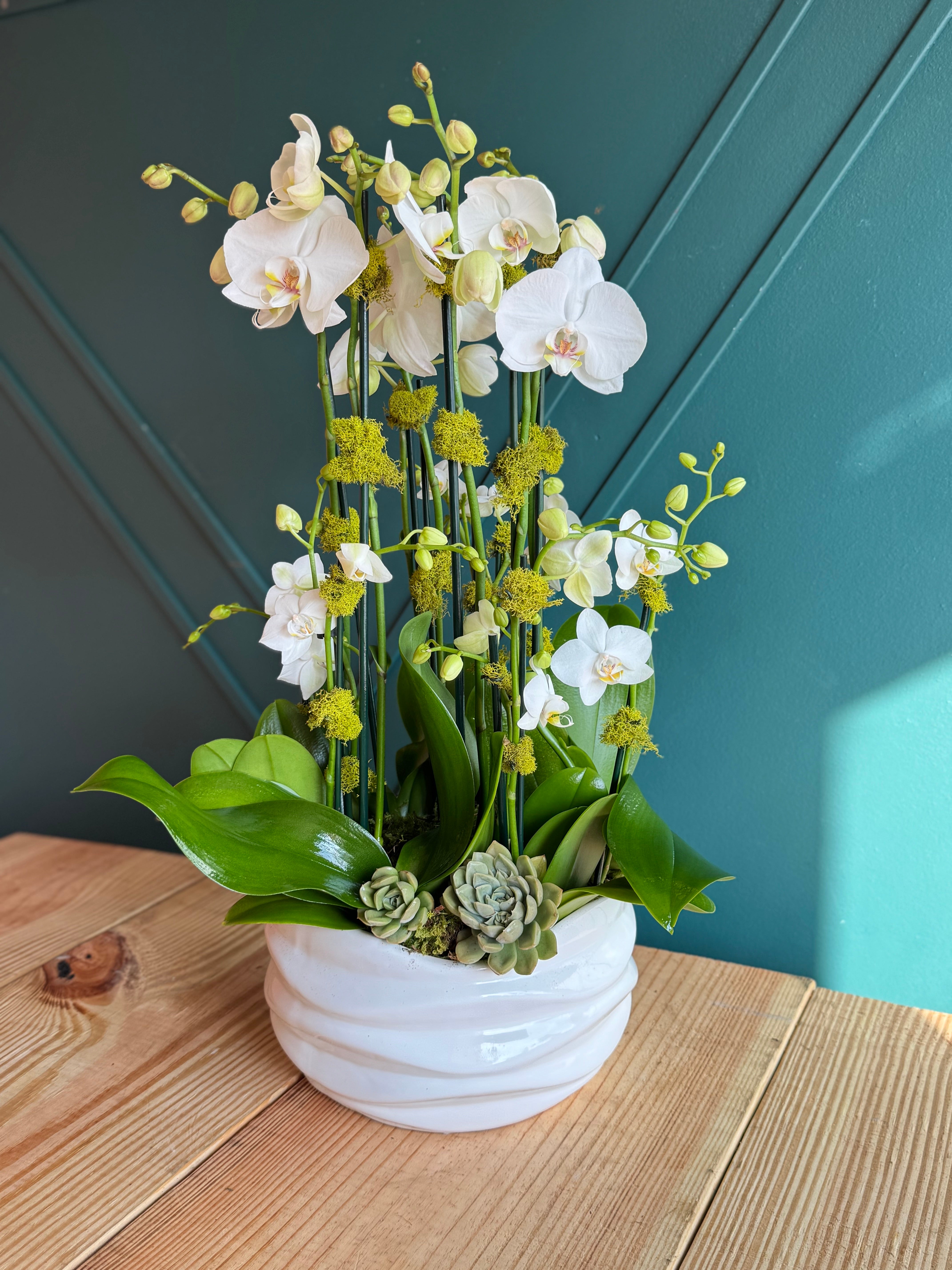 Elegant live orchid centerpiece by Luxury Flowers Miami