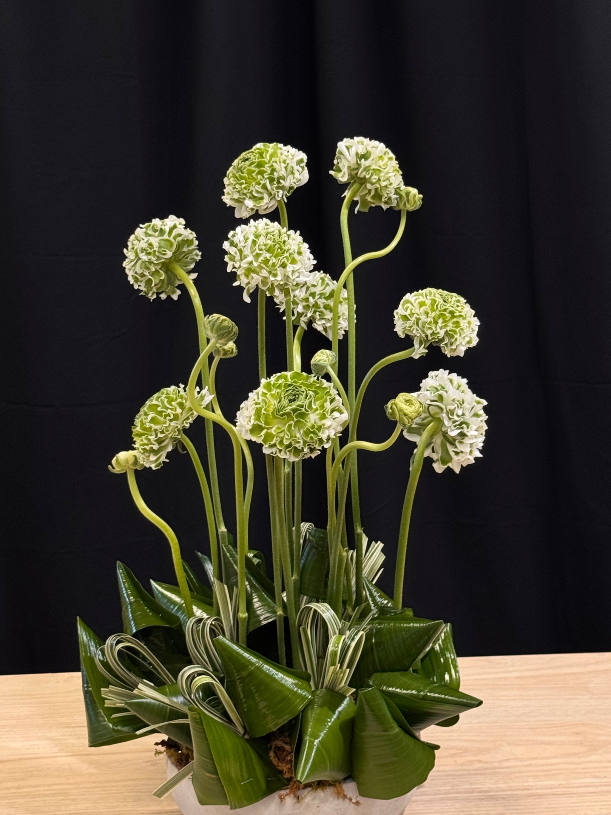 Elegant ranunculus floral design in a contemporary cement container
