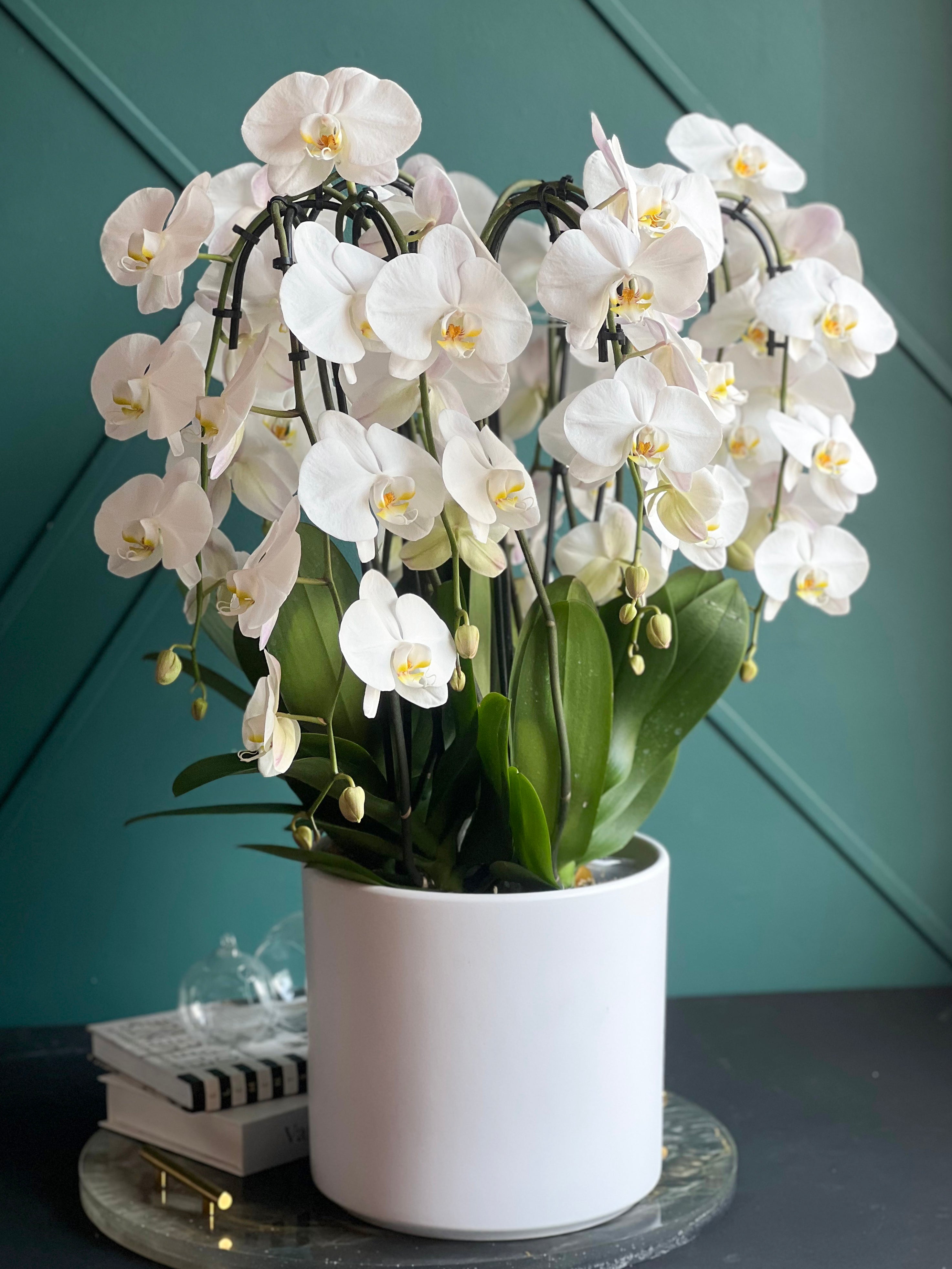 Elegant white orchid centerpiece for luxury home décor