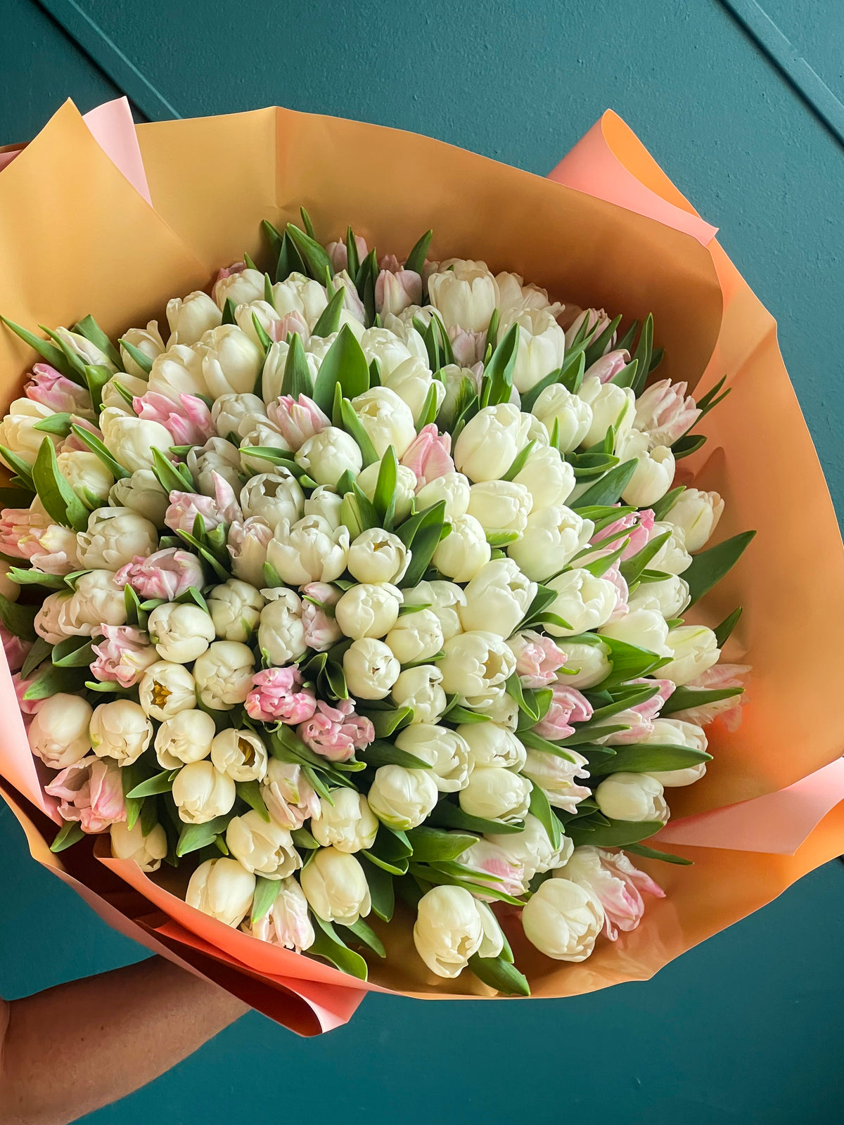 Extra large white and pink tulip bouquet by Luxury Flowers Miami