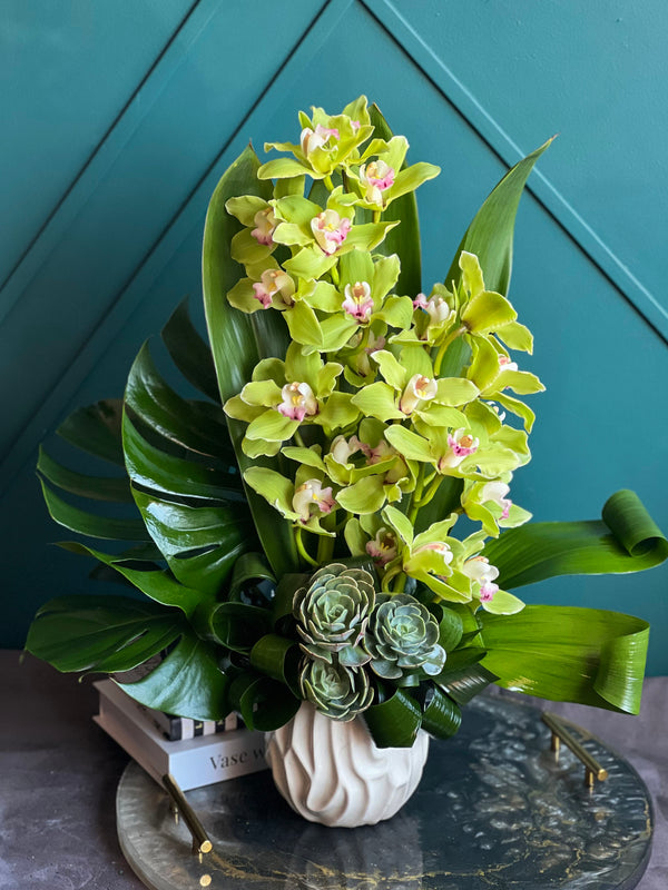Cymbidium Orchids in Vase | Modern Compact Arrangement buy online Luxury Flowers Miami